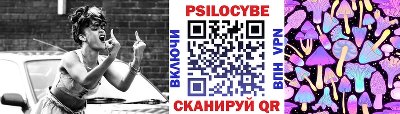 Псилоцибиновые грибы GOLDEN TEACHER  Моздок 